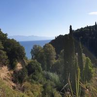 09 10 2019 Harokopio Koroni4