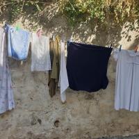 09 10 2019 Harokopio Koroni6