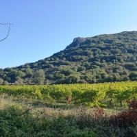 23-10-2019 Kokkino Soulinari