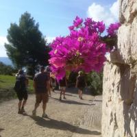 06 11 2019 Methoni M11