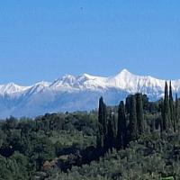 Img 20250118 Wa0097