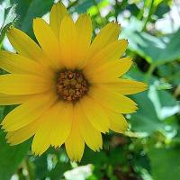 Img 20250222 Wa0063