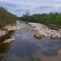 Img 20250308 Wa0082