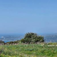 Img 20250315 Wa0035