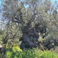 Img 20250322 Wa0105