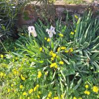 Img 20250322 Wa0108