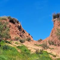 Img 20250322 Wa0128