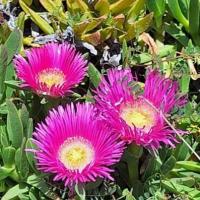 Img 20250405 Wa0054