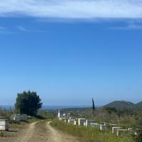12-04-2025 - From Mesochorie to lovely Ripena