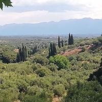 31 05 2025 From Perivolakia To Evangelismos Chomatada And Kalithea