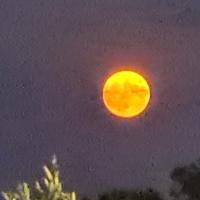 11-08-2022 full moon Achladochorie