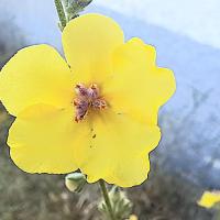 Img 20250614 Wa0009