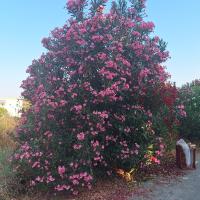 Img 20250628 Wa0029