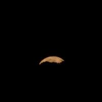 Img 20250711 Wa0016