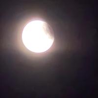 Img 20250909 Wa0017