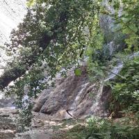 Img 20250913 Wa0019
