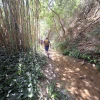 Img 20250913 Wa0038