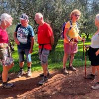 Img 03dbf55c79ae09b4c0d919bf17864e6f V