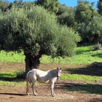 Img 0958762448f92151b0708995f05a0774 V