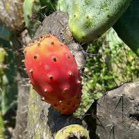 Img 100801c664afdbe0524151a2aab3a9d8 V