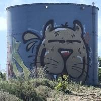 Img 115876594565b32c18bfcab8d1ab907c V