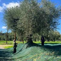 Img 270227cef9bccde821da7a472afcc4e2 V