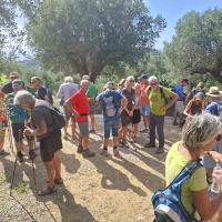 Img 3057733c4351481f0f6c26da51b40082 V