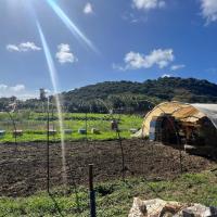 Img 533e4d0d3710402a027b56f0e73372e6 V