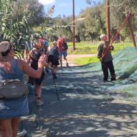 Img 7e24df7fd1ec14b01b495514c21bcf08 V