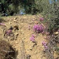 Img 950e06fc04ea40e83e02e8d36978020b V