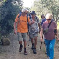 Img A405f86a1a724e0105d936cbdf0cb46b V