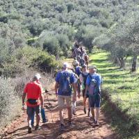 Img B110d5a050a8d8e458467893072258b5 V