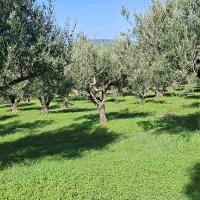 Img B407af7ce34f1548d9656a47374d13b0 V