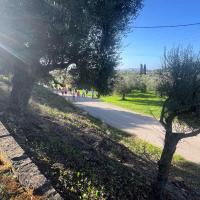 Img Bee968ab91ef4e2198b3f7c97baa5203 V