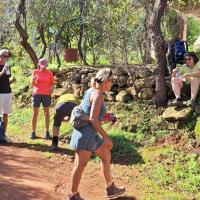 Img Cc32c3a01580e66720d81fc038fb6da6 V