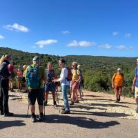 Img D0cc271cf3167f6ce71f03c5b77fd778 V