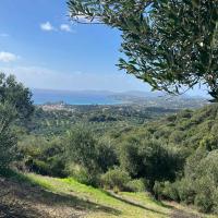 25-10-2025-Finikounda-Gianoukakeika-grape-valley