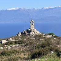 31-01-2026-Yamia-Chrysokellaria