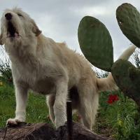 Img 42f96591a040f5289f6f5cb7df4904b8 V