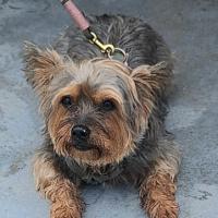 Img 44aeaddfa3c9dc218c5b45a5bea91148 V