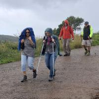 Img 962e0ee9bef3aa2dd2eec39f02afa6ec V