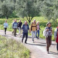 Img Bad539e3bedf171d7afd41334bc5f3e7 V