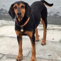 Img F61f239bd33200ac5ba94bab19c466fc V