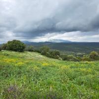 14-03-2026-Zizani-Klisoura 