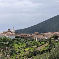 21-03-2026 Vasilitsi-Livadakia-Vasilitsi 