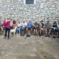 Img 0c860a1da28bf6ba810975bc9845373a V