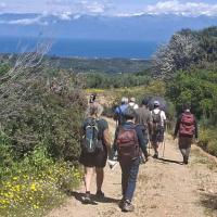 Img 4c4c3a82ee7041f081f112cfc2f1a591 V