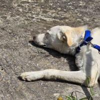 Img 7112bf7a6523264ee338339afb011661 V