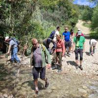 Img 8014a942a6e2538634c04a750ba3a9cc V