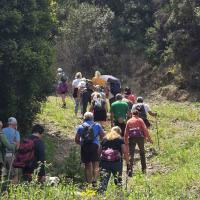 Img 97bc276a3979759fc57742b7259e1d0a V